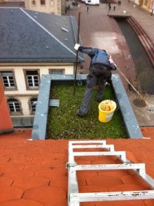 toiture rénovation